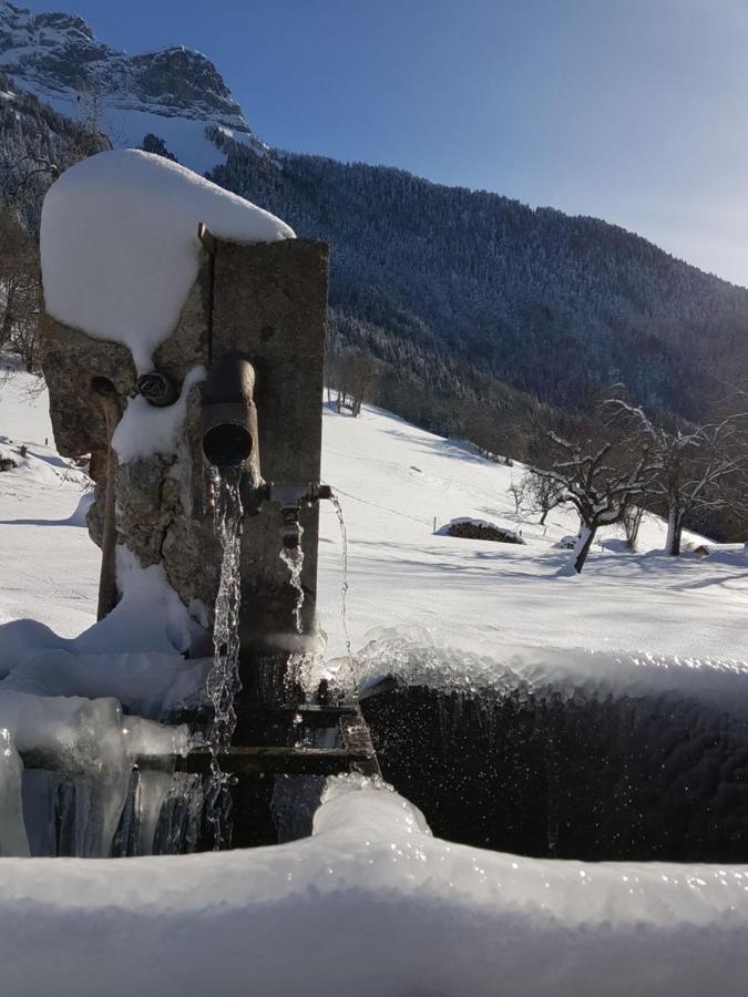 Studio Les Chanterelles Plan Montmin Екстер'єр фото